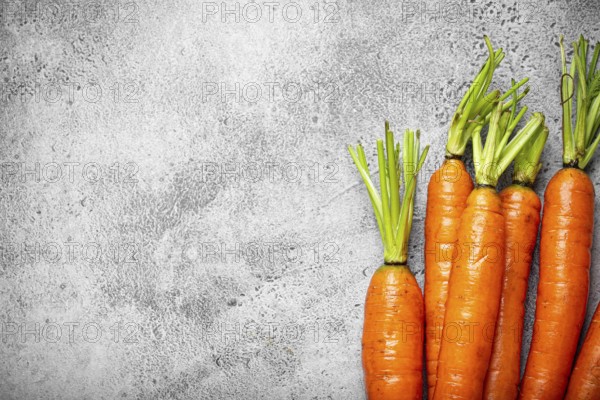 Fresh raw organic farmer carrots with leafs arranged on grey rustic stone background top view,
