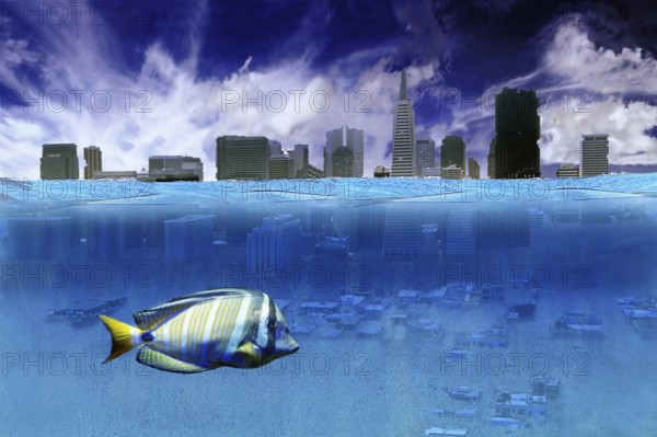 Due to the melting of the polar ice caps, only half of the San Francisco skyline could still be