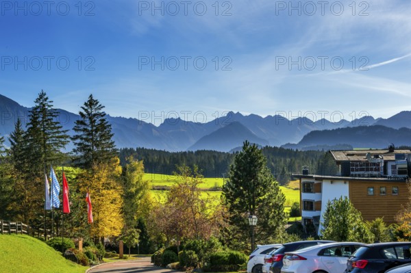 Green meadows, Allgäu Alps and mixed forest with colourful flags near Ofterschwang, Allgäu,