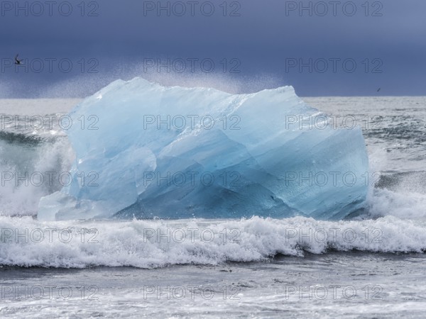 Diamond Beach, iceberg in the surf, near Jökulsarlon glacier lagoon, Vatnajökull National Park,