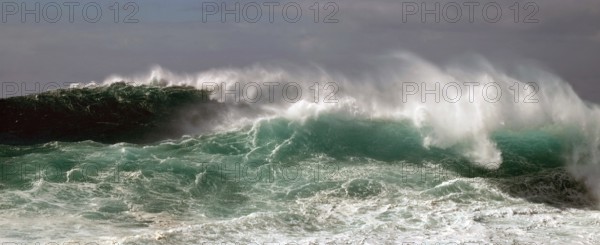 High wave piles up metres high in front of rolling over. Landscape format. High wave towers metres