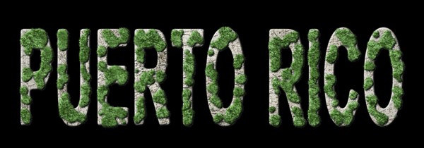 Puerto Rico Reforestation and Climate Message, Sustainable Green Typography, Green Agenda