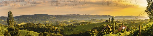 South Styria Vineyards landscape in Sulz Austria. View at Vineyard fields in sunset sun in summer.