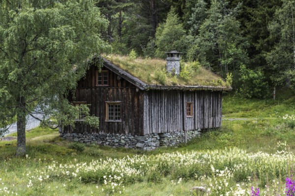 Traditional Timber house with grass roof in the Setesdal in Norway in natural landscape. Old Timber