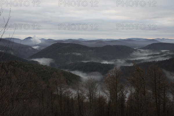 View from a sandstone cliff in the middle of the forest. Landscape with a marvellous view over a