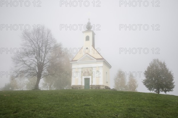Karger tree, autumn atmosphere with fog, Theresienkapelle, Mass chapel Maria vom Guten Rat, Sausal,