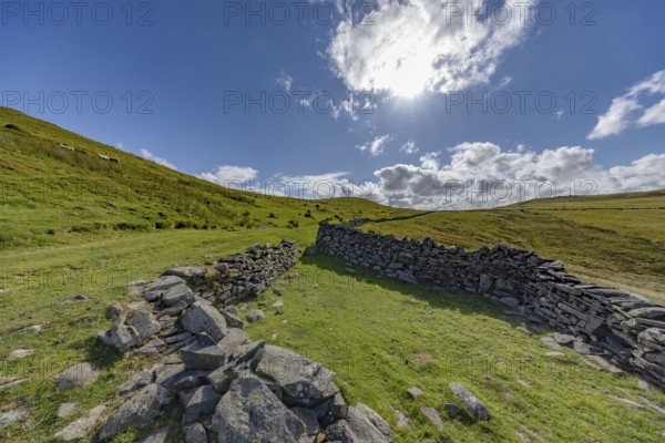 Hilly landscape with green meadows and stone wall, dry stone wall on the edge of Snowdonia National