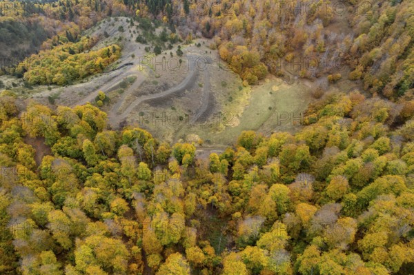 Drone aerial of Autumn forest road. View of autumn forest road with fallen leaves Fall season