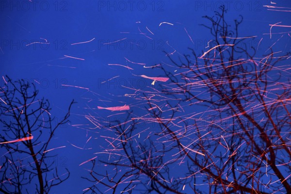 Spinning sparks leave their trajectory as they swirl upwards in the dark blue evening sky.