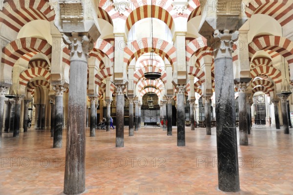 La Mezquita, Mosque, Cathedral of Cordoba, Cordoba, Andalusia, Spain, Europe, Open hall with