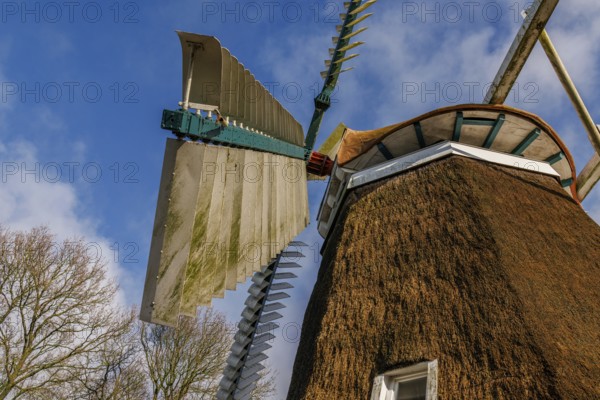 Windmill with large wings in front of a clear sky and surrounded by nature, burlage, east frisia,