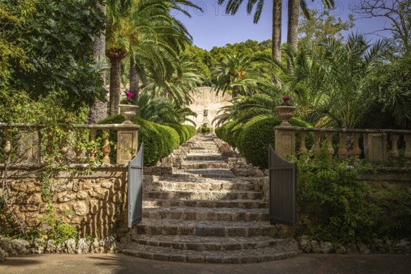 Stone steps lead through a Mediterranean garden with lush palm trees, Jardines de Alfabia, Bunyola,