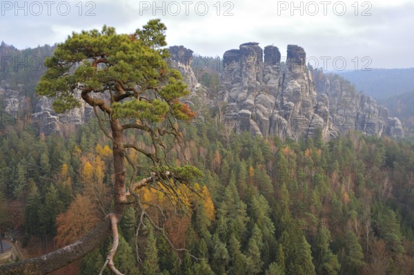 Elbe Sandstone Mountains near Rathen, Gansfelsen, Bastei National Park Saxon Switzerland, Sandstone