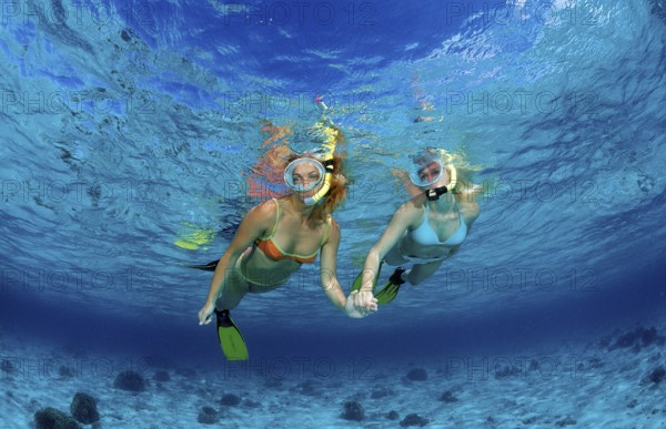 Snorkellers, Bali, Snorkelling, Snorkellers, Indonesia