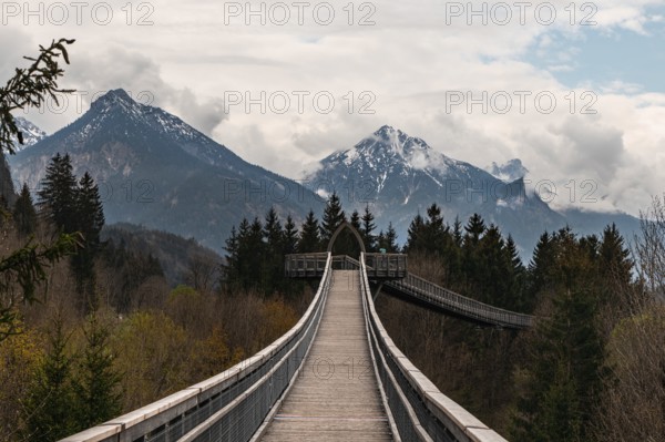 Treetop walk in Ziegelwies, a town near the border between Austria and Germany with views over the