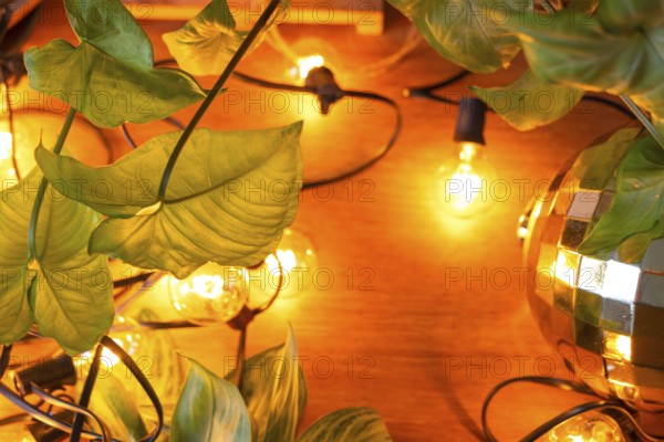Wooden background with garland lamps and green leaves of a home potted plant and a glowing ball.