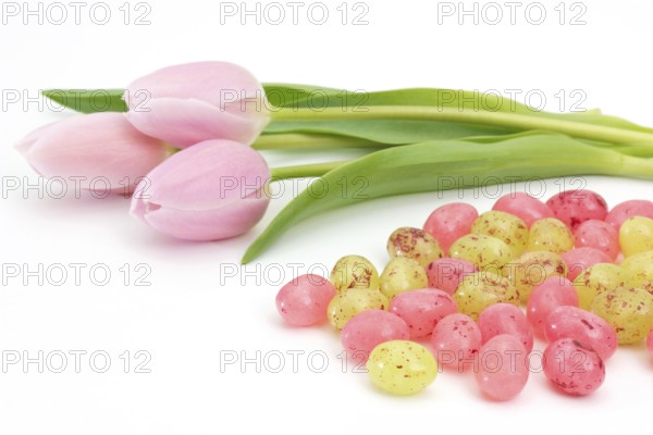 Jelly Easter eggs near pink tulips on white background Jelly Easter eggs near pink tulips on white