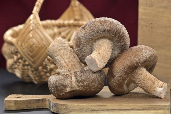 Raw shiitake mushrooms, known for their nutritional and medicinal properties, rest on a cutting