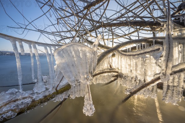 Branches with shimmering icicles over the lake, Niederzell, Reichenau, Lake Constance,