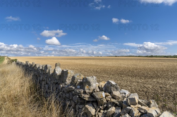 Traditional stone wall separates acres and farm fields on the Monknash Coast of South Wales, United