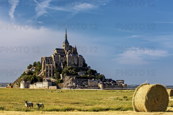Mont Saint-Michel in a field with cows and bales of straw under a blue sky, Mont Saint Michel in