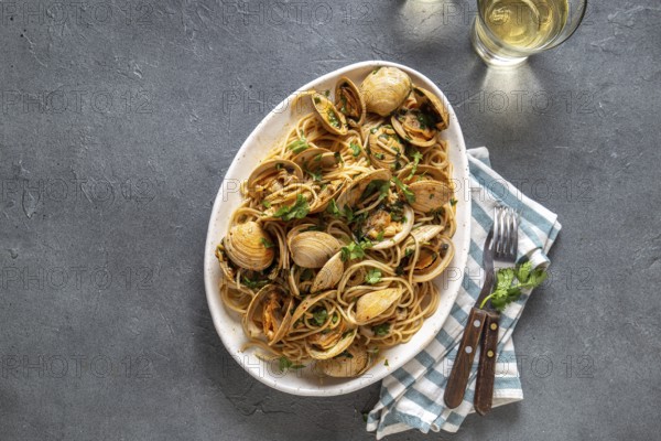 Food, Food, Seafood Pasta. ITALIAN SPAGHETTI ALLE VONGOLE. Clams spaghetti on white plate with