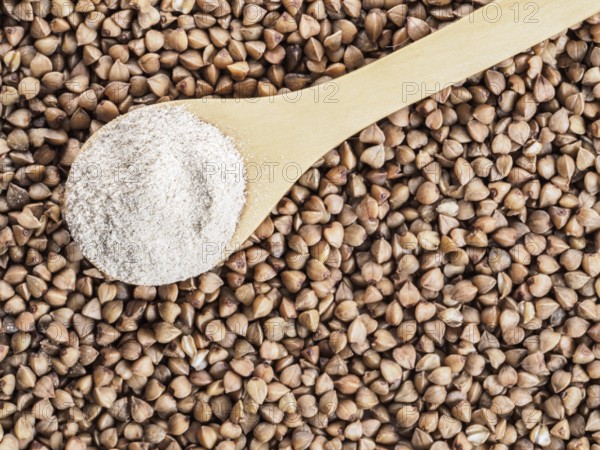 Buckwheat flour in wooden spoon and buckwheat grains. Whole-grain buckwheat flour on buckwheat