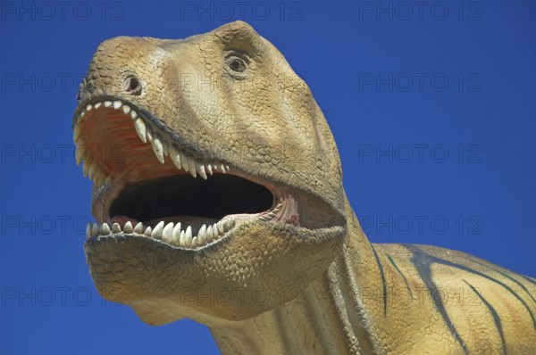 Germany, Hesse, Frankfurt/Main, Senckenberg Museum, Tyrannosaurus Rex, Frankfurt/Main, Hesse,