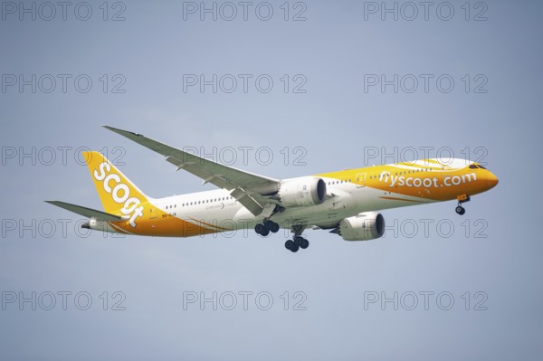 30.07.2023, Singapore, Republic of Singapore, Asia, A Scoot Airlines passenger aircraft of the type