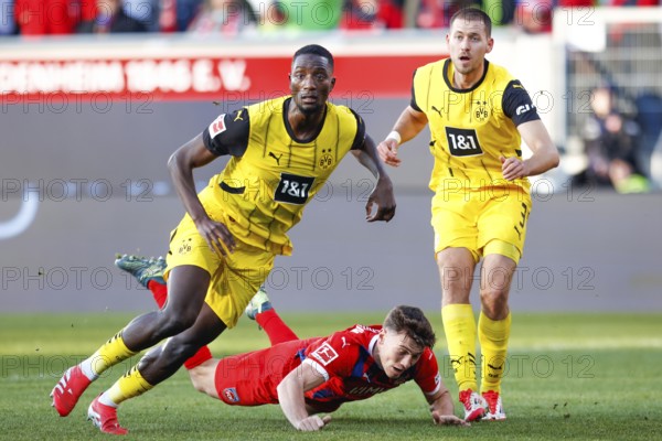 Germany: Soccer 1st Bundesliga, Matchday 20 - 1. FC Heidenheim vs. Borussia Dortmund - Voith-Arena