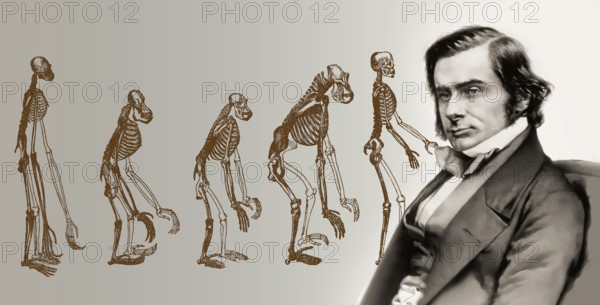 Portrait of Thomas Henry Huxley, 1825 – 1895, English biologist and anthropologist, specialized in