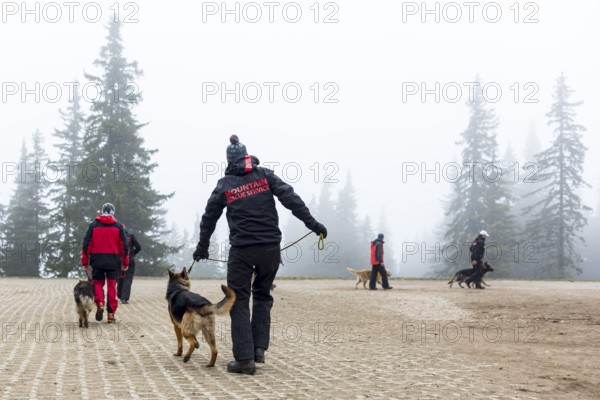 Sofia, Bulgaria - April 20, 2016: Men and their dogs at the search and rescue team at Bulgarian Red