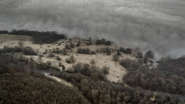 Autumn fans in the valley