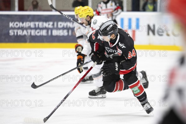 Elias Lindner (Cologne Sharks, #34), PENNY DEL, Test match Cologne Sharks - Lions Frankfurt on 25