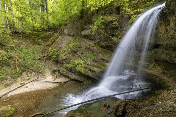Side view of a waterfall flowing in a mossy forest area, surrounded by tall trees, Hasenreuter