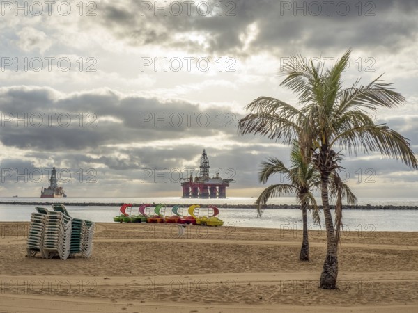 A quiet beach with palm trees, pedal boats and a slightly cloudy sky over the sea, tenerife, canary