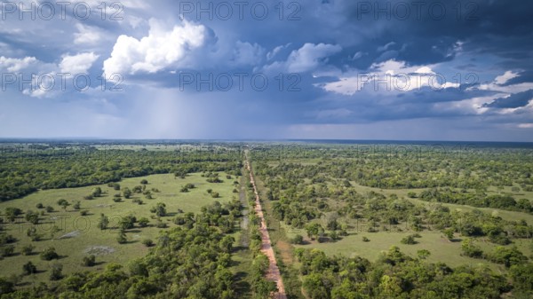 Aerial view of Transpantaneira dirt road crossing straight the North Pantanal Wetlands, Mato