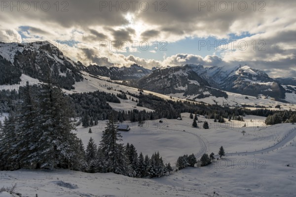 Wonderful winter hike from Restaurant Eggli over the Forstseeli and Diepoldsauer sponge to the