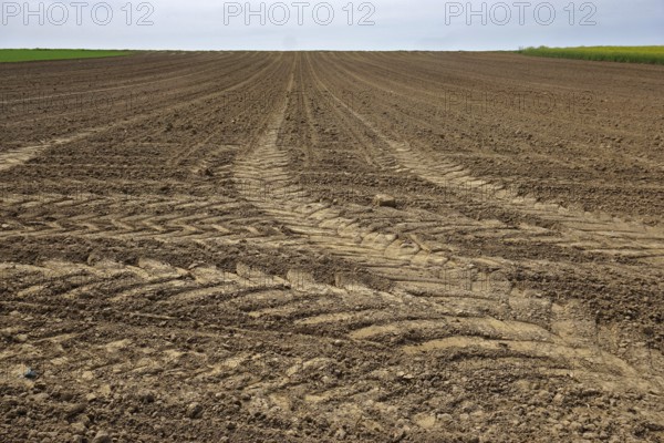 Field with tractor tracks, prepared for sowing, Swabian Alb, Field with tractor tracks, prepared