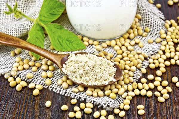 Soy flour in a spoon and milk in glass jug, soybeans and a leaf on napkin of burlap on wooden board