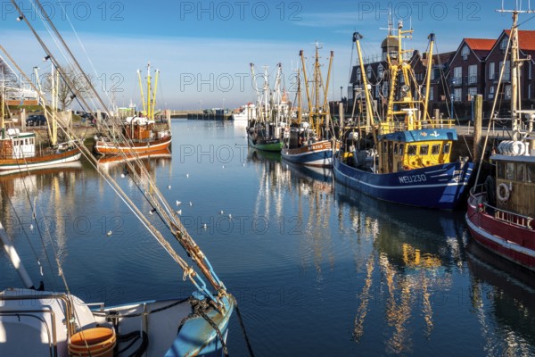 The harbour of Neuharlingersiel, East Frisia, Lower Saxony, fishing boats, fishing cutter,