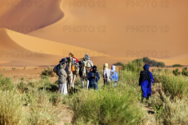 Group of people and camels in a sandy, vegetation-poor desert with high dunes, Tuareg with his