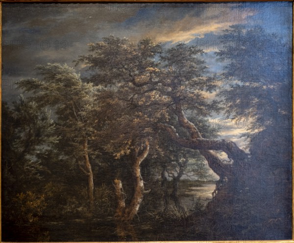 Jacob Isaacksz Van Ruisdael, A marsh in a forest at dusk, 1665, oil on panel, Museo de Bellas