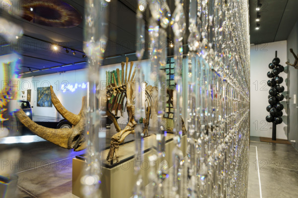 Curtain of Swarovski crystals and fossilized skeleton of Siberian woolly rhinoceros (Coelodonta