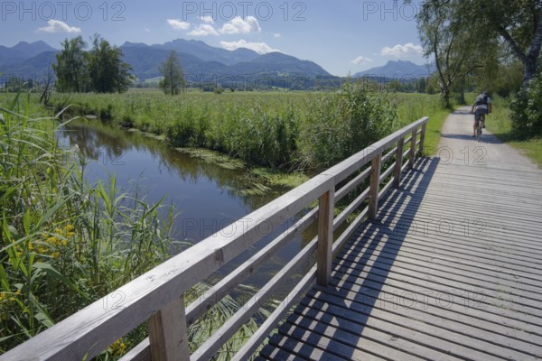 Cycle path in the Bernauer moss, moorland, Kampenwand, Bernau am Chiemsee, Bernau, summer, August,