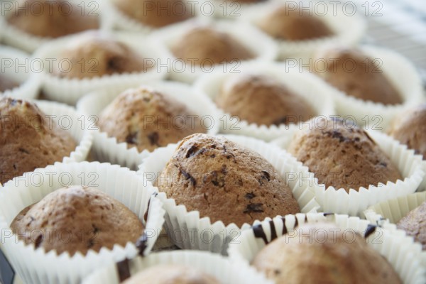 Homemade Muffins with Chocolate Chips on a Oven Grill over a Wooden Table, in a shallow depth of