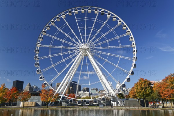 Autumn colours, Ferris wheel at the Basin Bonsecour, Old Montreal, Montreal, Province of Quebec,