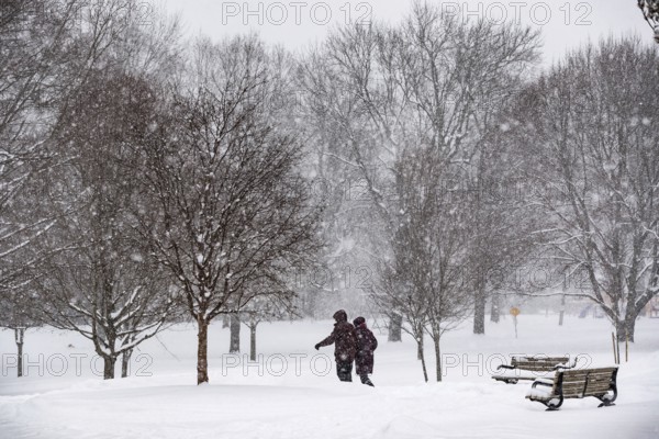 Heavy snow squalls of lake-effect snow falls over Springbank Park in London, Canada. Environment