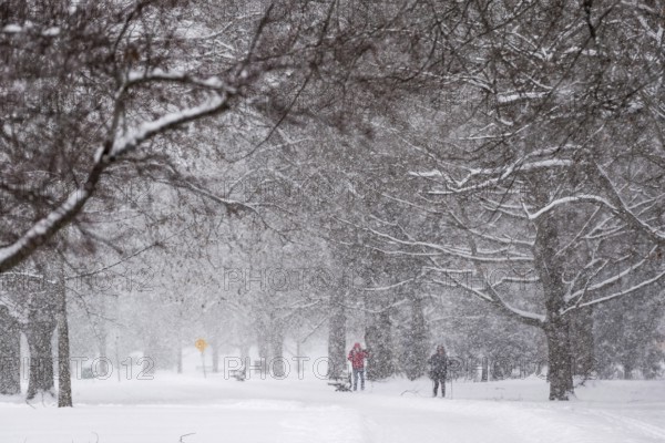 Heavy snow squalls of lake-effect snow falls over Springbank Park in London, Canada. Environment