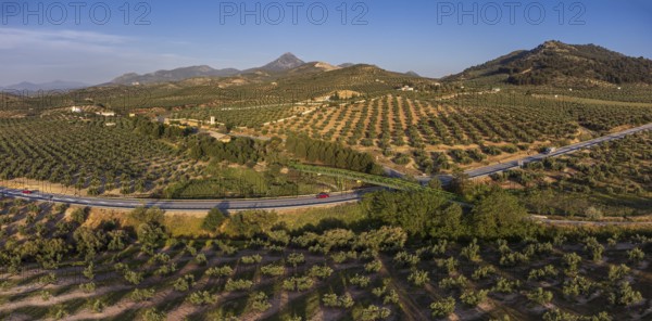 Metal bridge over the olive grove, Greenway of Oil Natural Trail, Alcaudete, Jaén province,